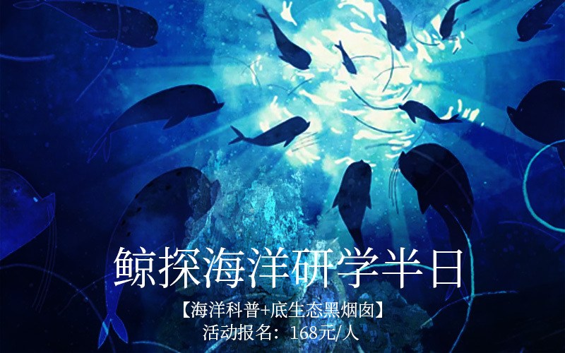 海洋之星2代游戏画面图片_海洋画风_海洋画的图