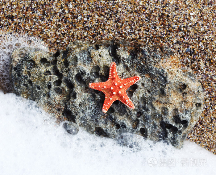 宝石海星：你绝对没听错！