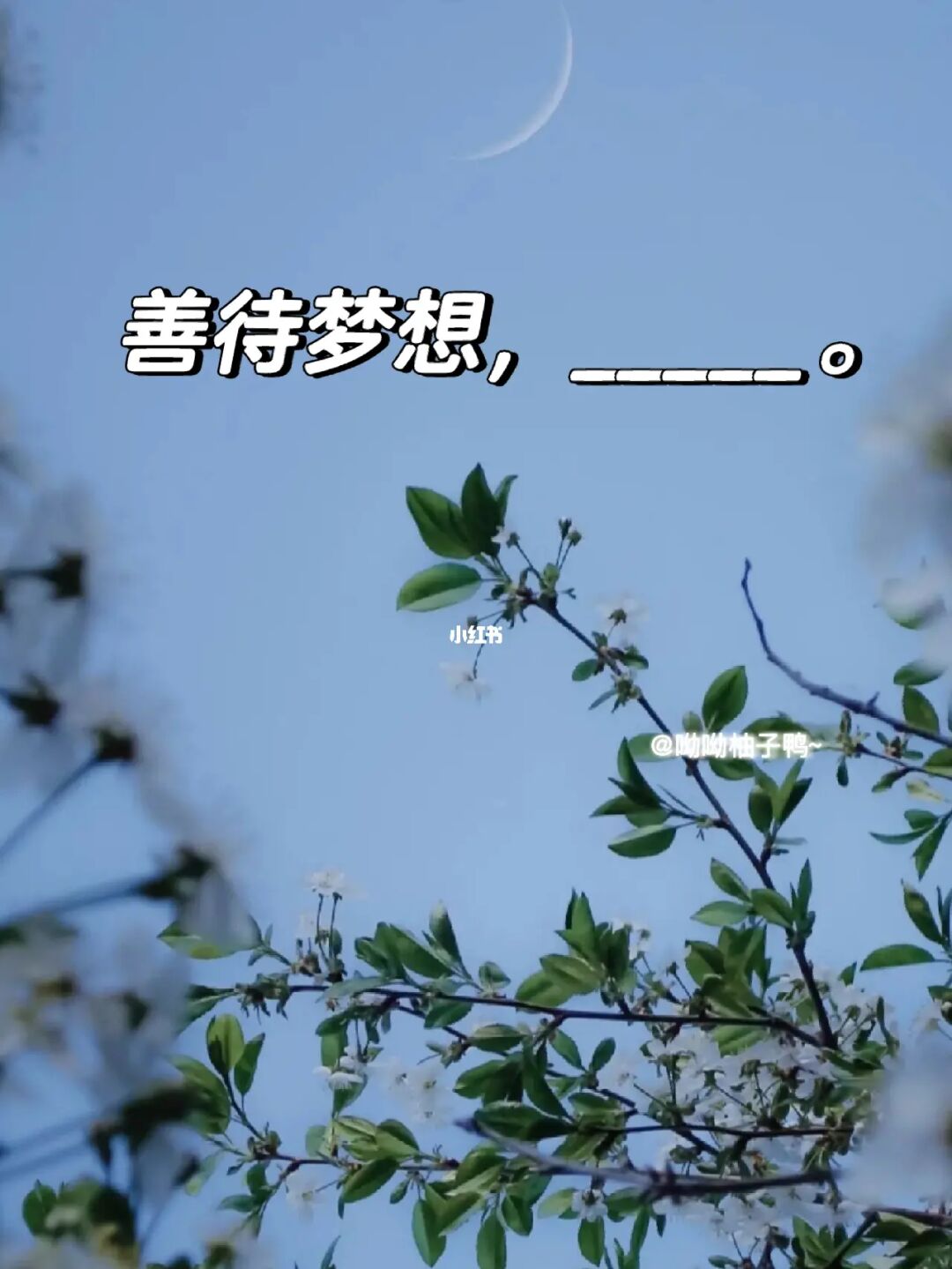 普信女经典语录_信的经典语录_语录经典句子