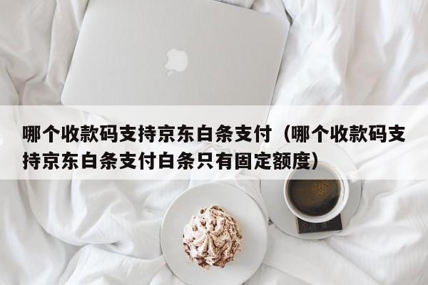 京东白条扫码支付，轻松向商家付款！