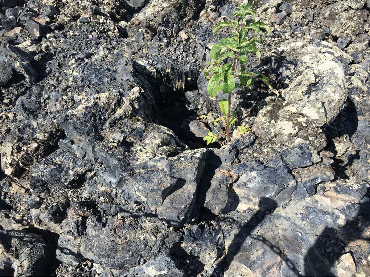 迷你世界火山地形怎么找_火山地形怎么找迷你世界_迷你世界寻找火山地形