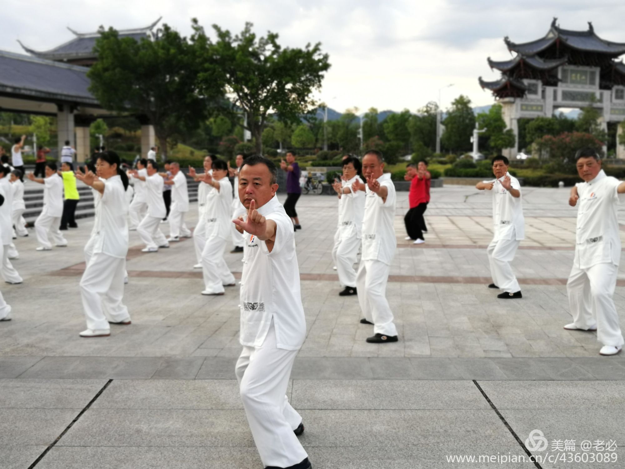 修体是什么_体修_修体内世界的小说