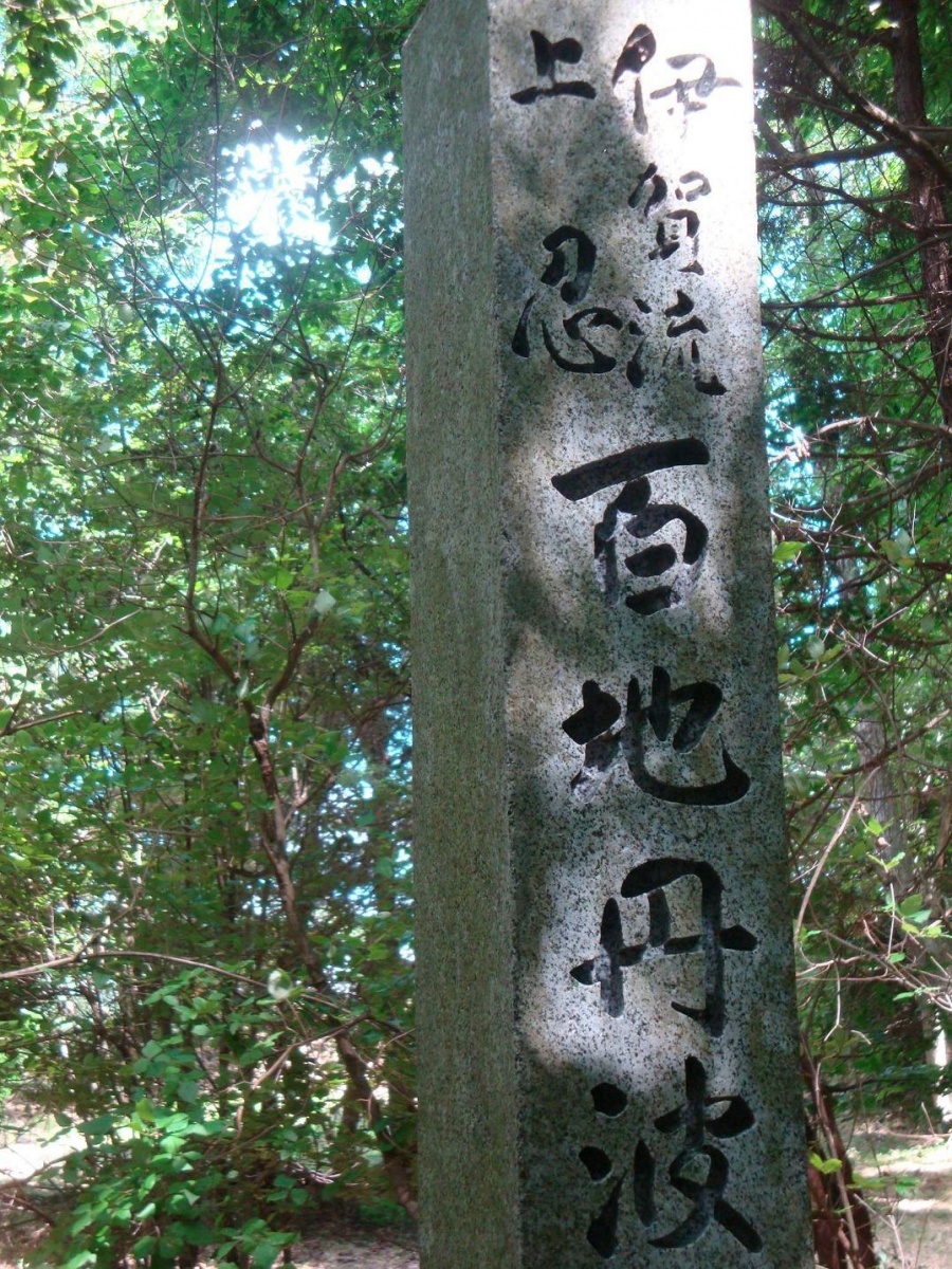 花丹犬图片1200元_丹元廉贞罡星君_元丹