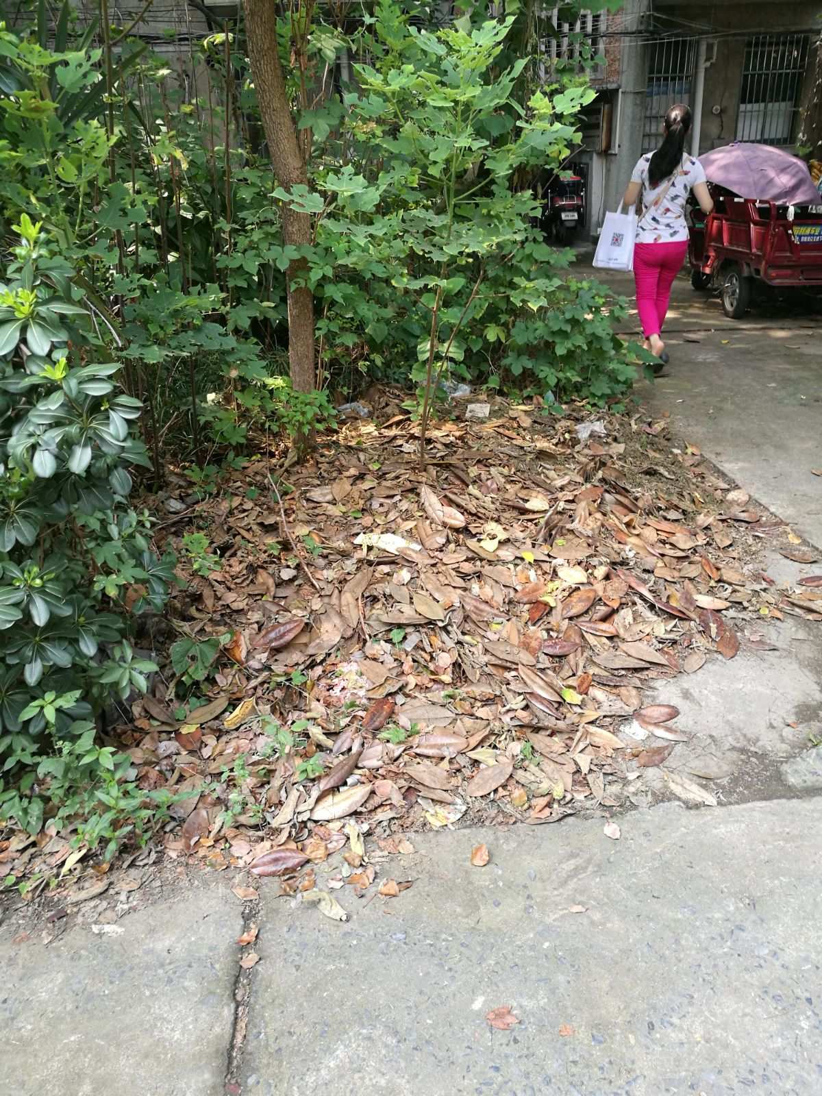 神秘邻居下载手机版_神秘邻居_邻居神秘感是啥