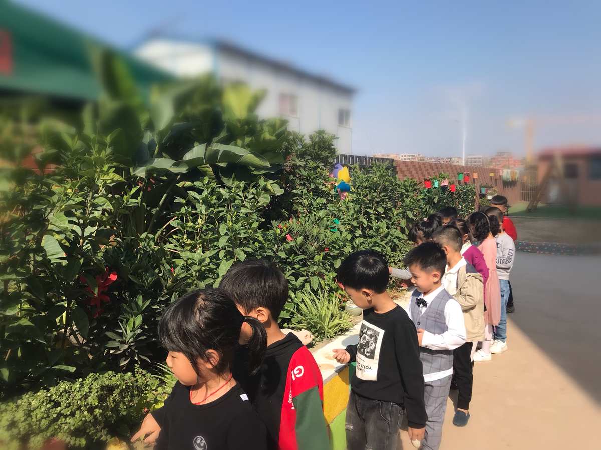 农场游戏小程序_农场小游戏_农场游戏小说女主