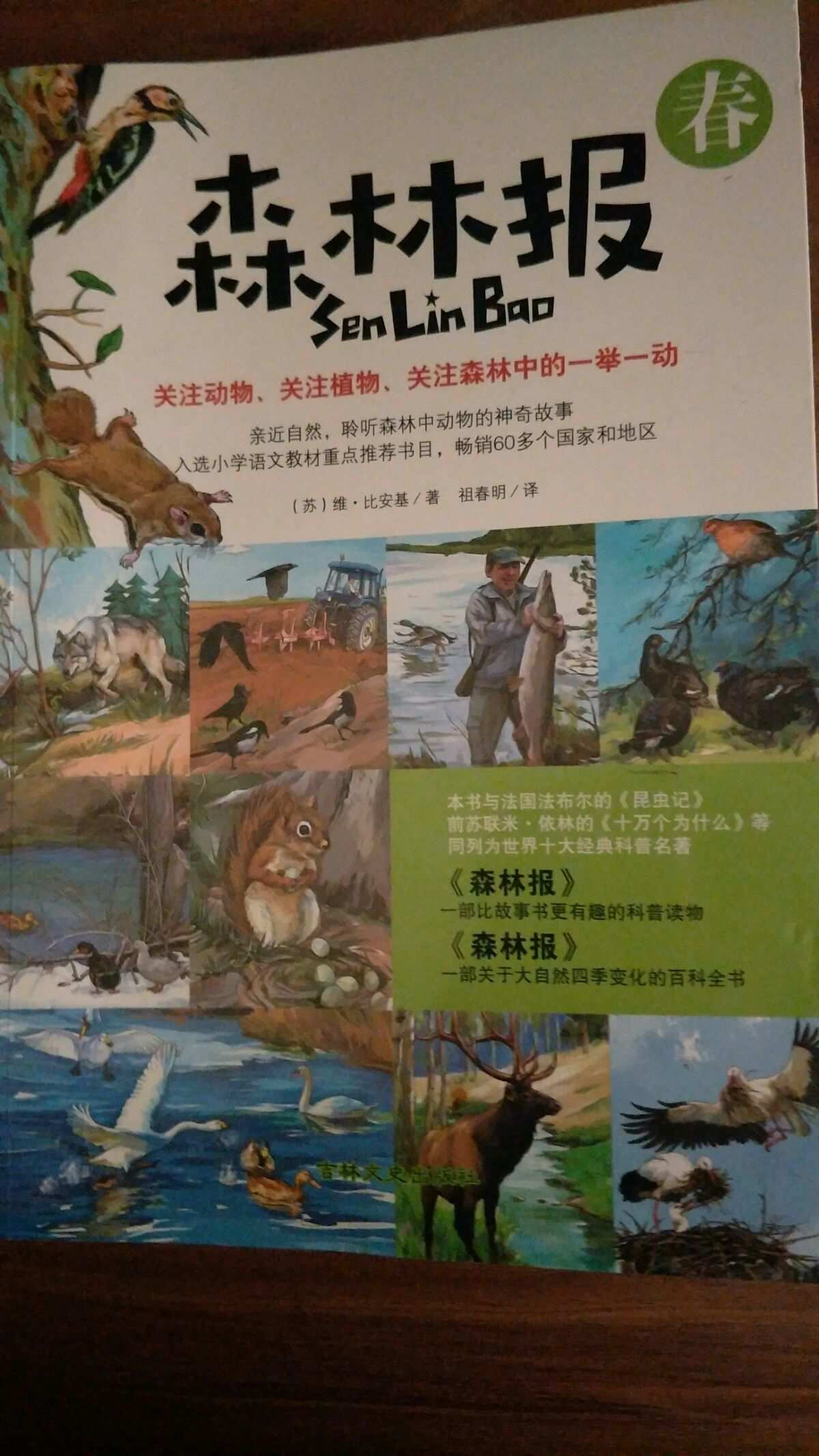 加兹鲁维_加兹鲁维的解决方案_加兹鲁维怎么连招