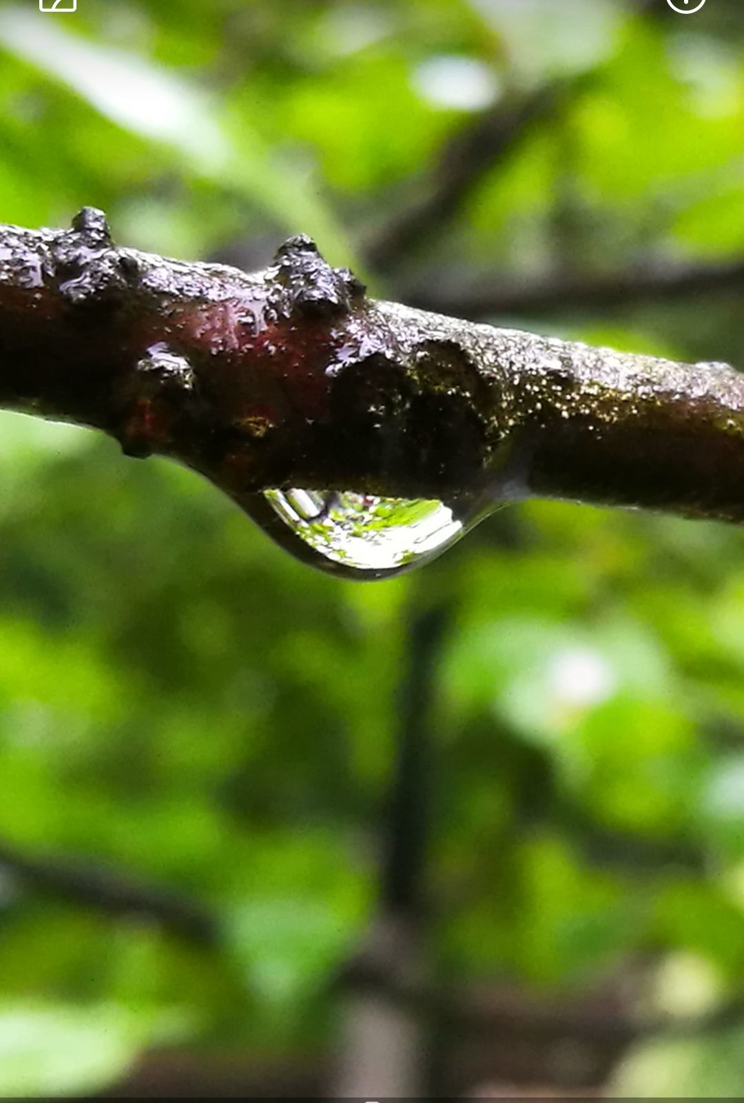 雨女竞速_竞速雨女速度_竞速雨女的等候第九层