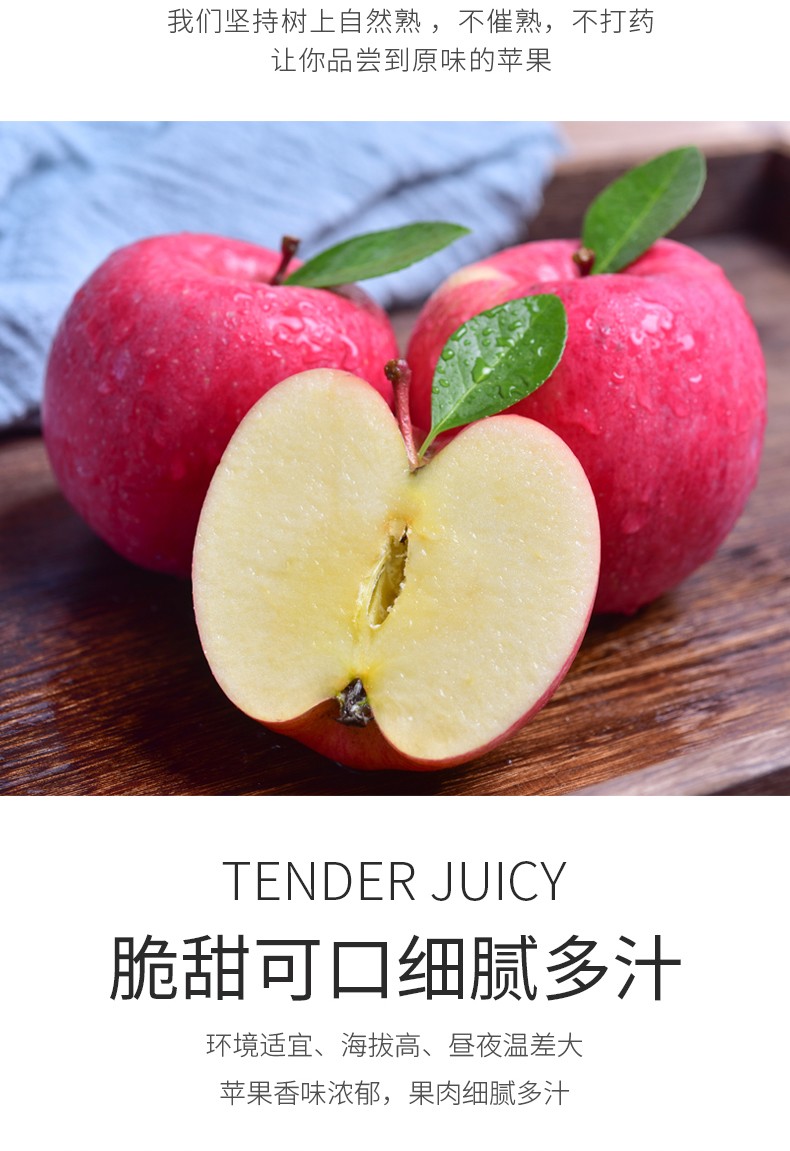 mp4怎么用手机下载小说苹果_苹果小说_大明王朝小说苹果