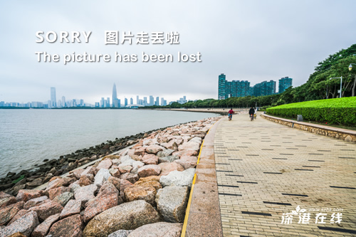 免费域名的网站_黄色域名_域名免费