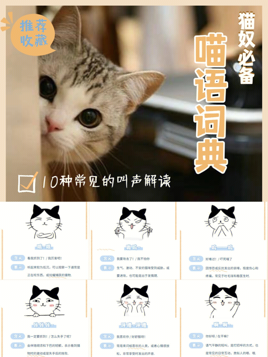 猫语翻译机器_猫翻译器软件_猫语翻译器免费版