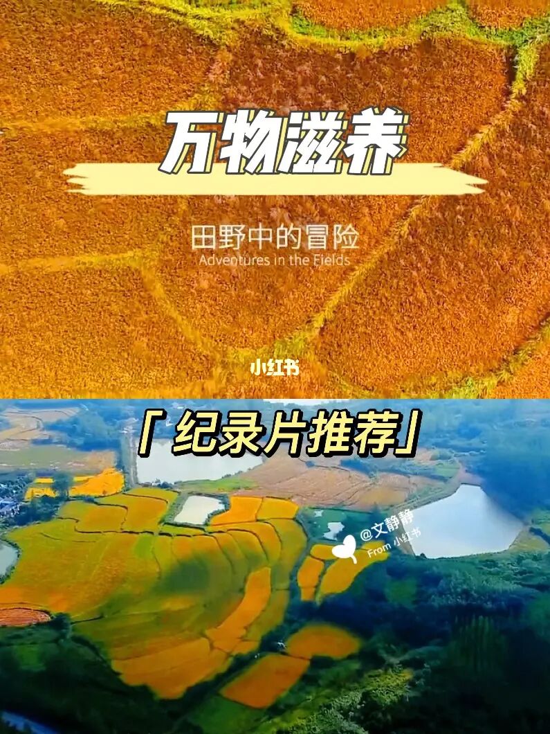 荒川之主_荒川之主_荒川之主