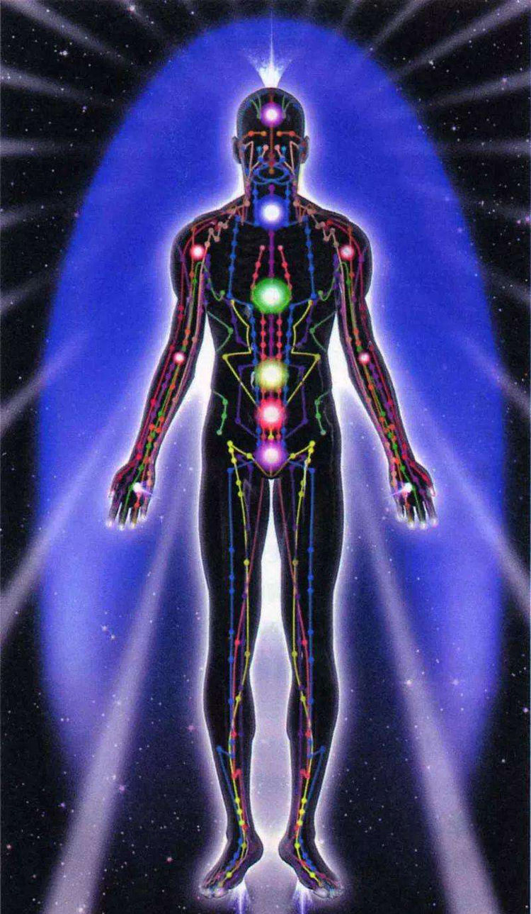 梦幻西游2tg渡劫奇筋八脉_不可思议的梦幻奇屋图片_梦幻奇经八脉