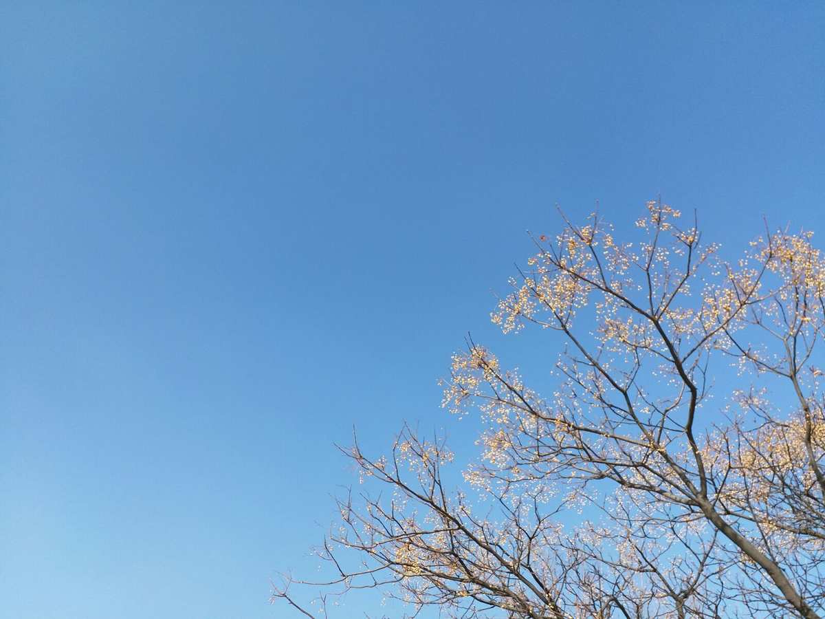 天空是什么的家_天空是什么的家什么是什么的家_天空是谁的家怎么填空