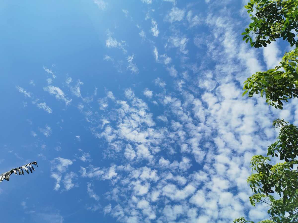 天空是谁的家怎么填空_天空是什么的家什么是什么的家_天空是什么的家