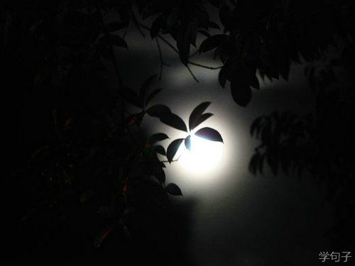 dnf黑夜残息是什么装备_黑夜残息在哪兑换_黑夜残息有什么用