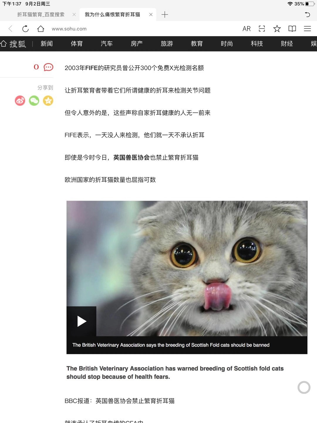 猫爪app怎么没了_猫爪app_猫爪app官网