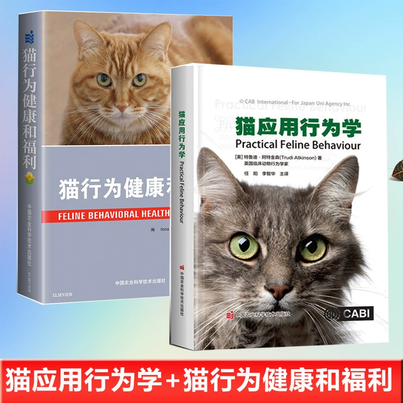 猫爪app_猫爪app怎么没了_猫爪app官网