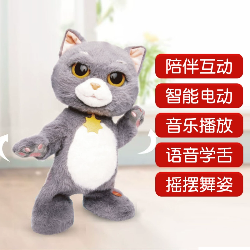 猫叮叮小视频_叮叮猫_猫叮叮图片