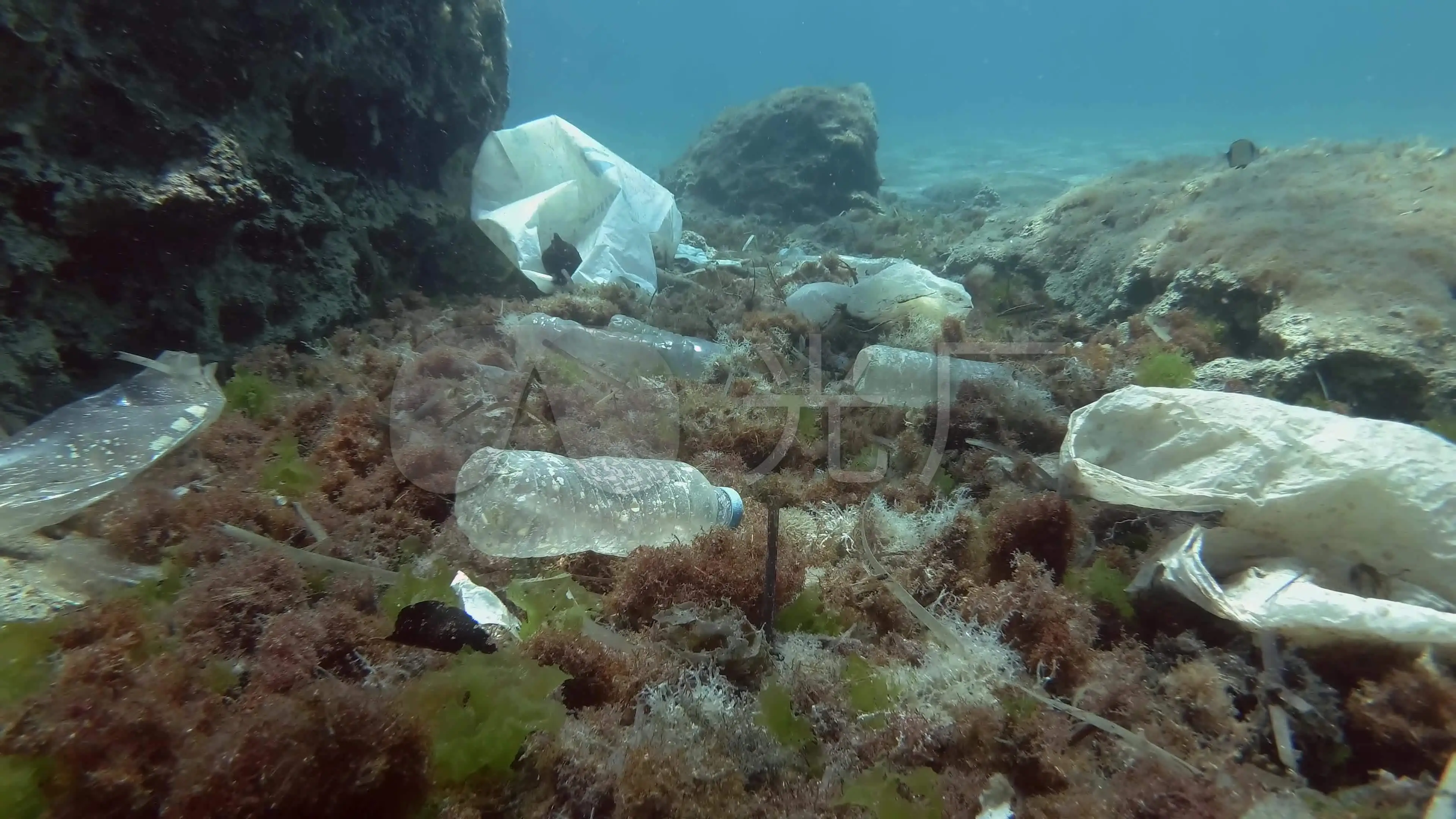 海底清洁工有哪些_海底清洁工_海底清洁站