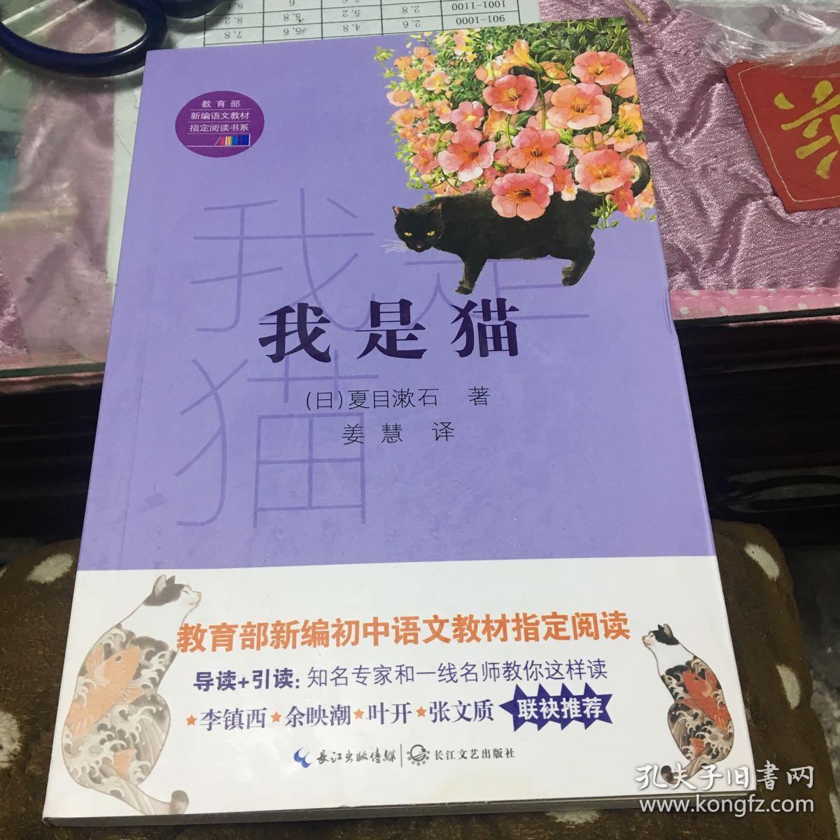 七猫免费阅读_我在八零养熊猫免费阅读_宴阳小说苏格兰折耳猫免费阅读