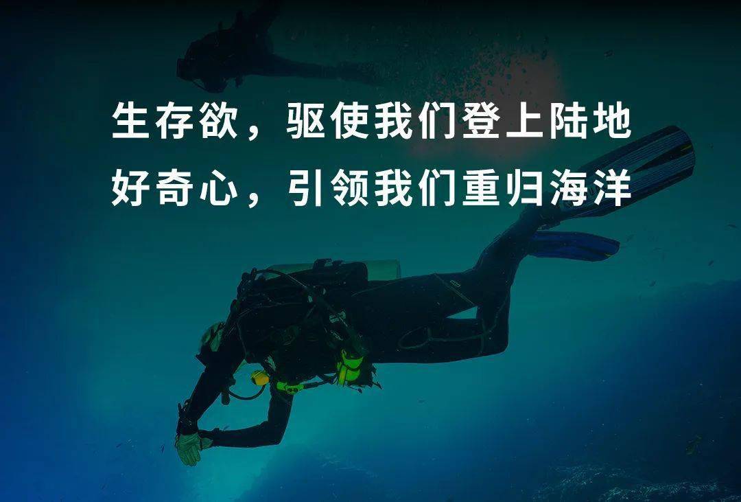 水君种族值_水系种族值_水君种族值不如准神