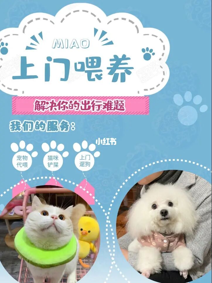 养动物游戏小说推荐_养动物游戏_养动物小游戏