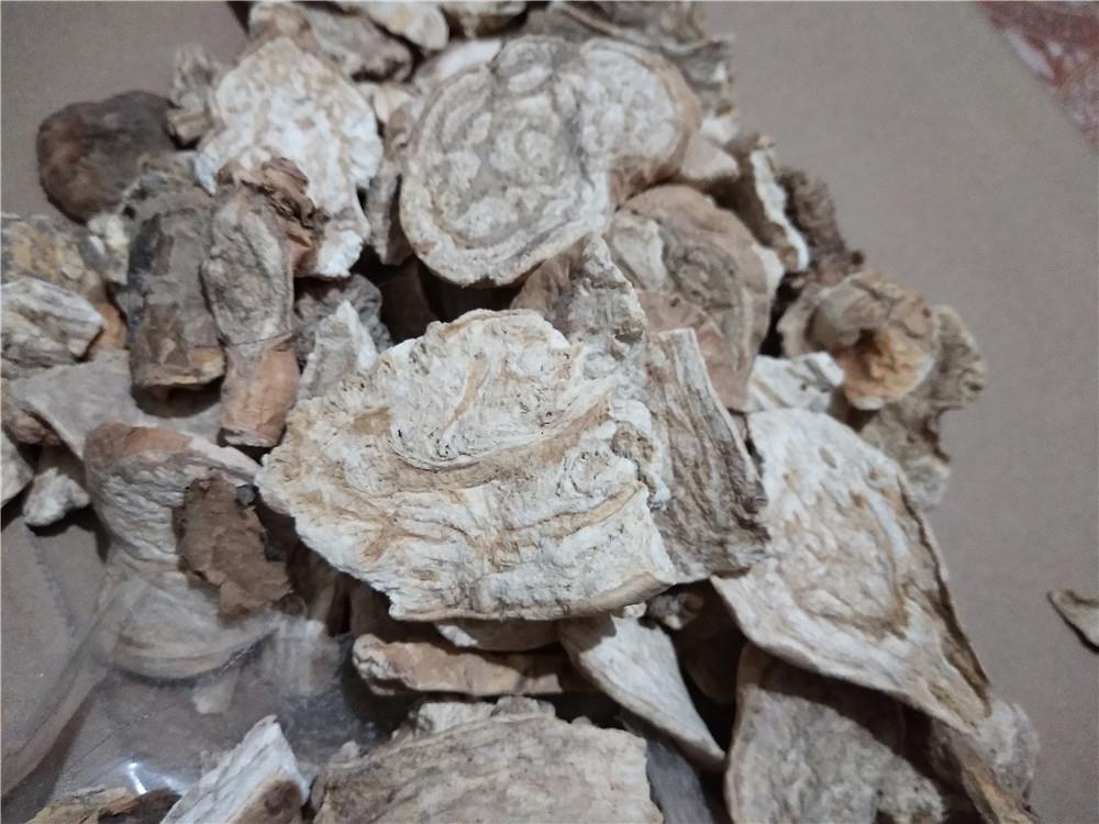 烦人修仙传地图_凡人修仙传在线观看_烦人修仙传