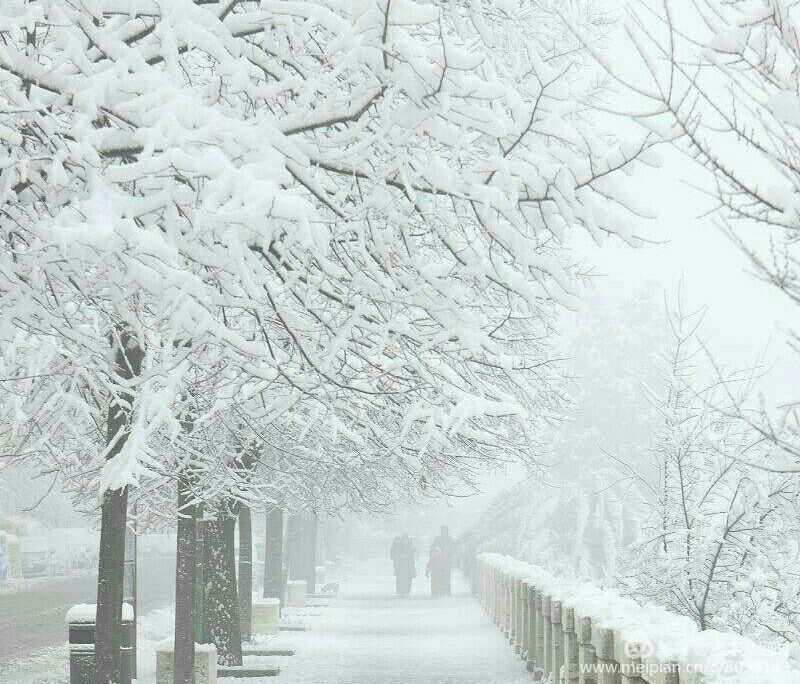 乌啼霜满天小说_啼霜满天叶落猿_月落乌啼霜满天千里江陵一日还歌曲