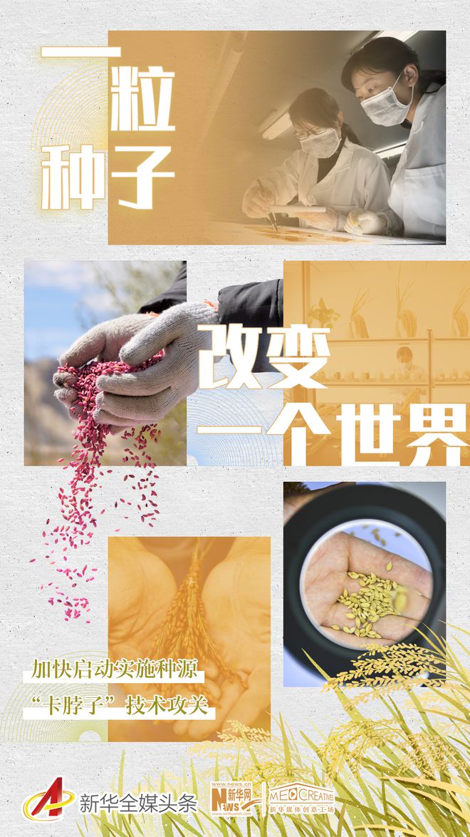 好种子mc_种子看世界_我的世界好种子
