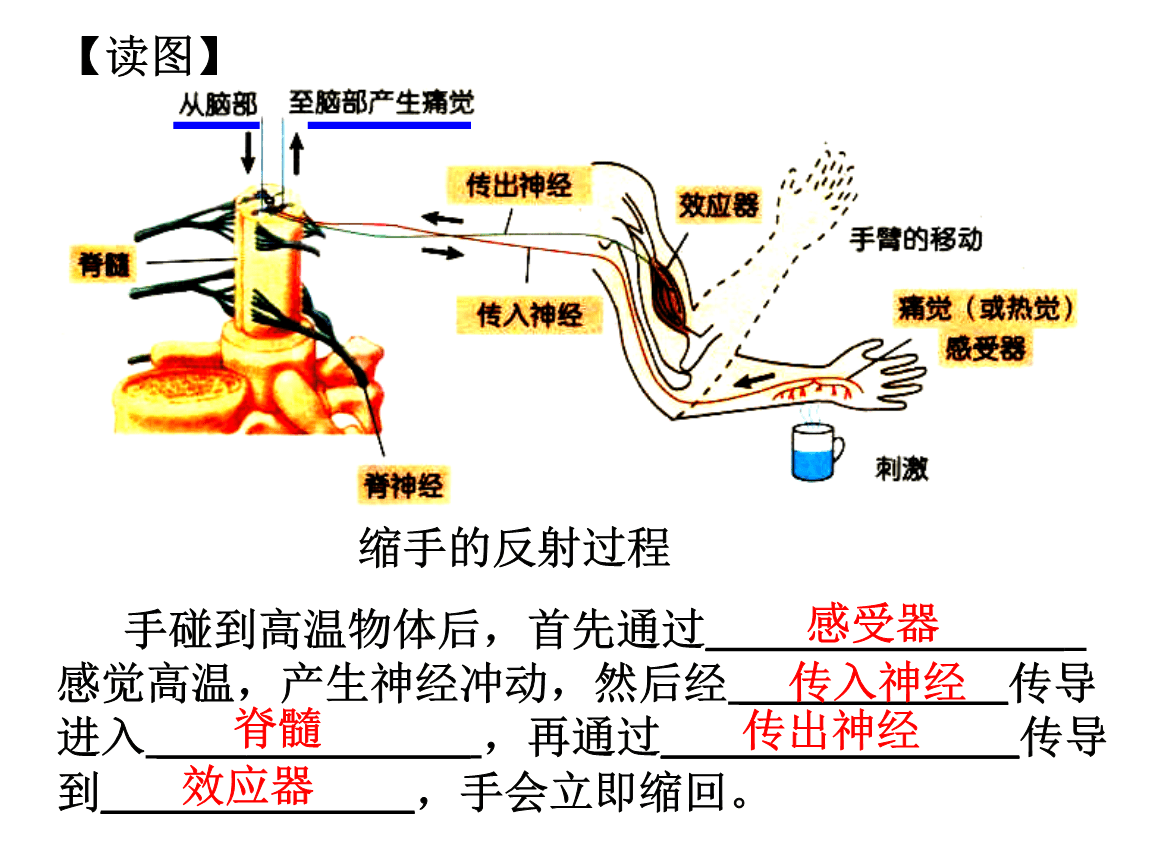 闪玩去广告下载_如何去掉手机游戏广告闪烁_闪玩游戏免广告