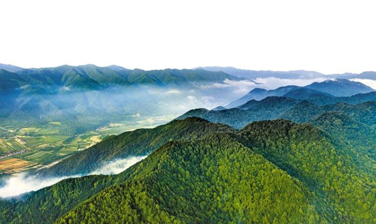 陕西游戏公司有几家_西安手游公司排名_陕西手机游戏