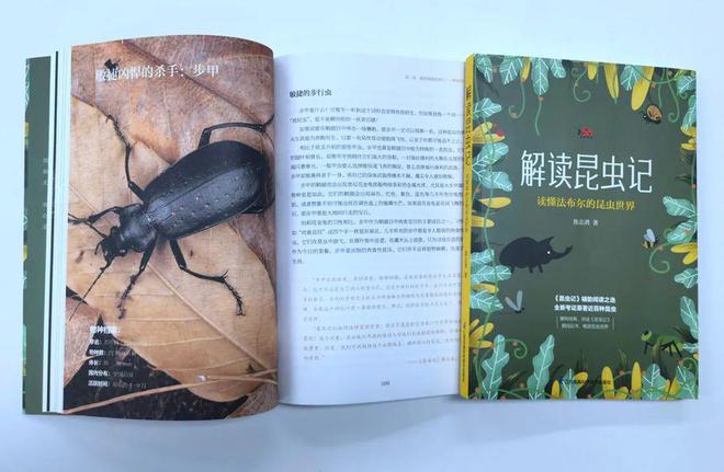 苹果手机里有关昆虫的游戏_苹果手机游戏昆虫_ipad昆虫游戏