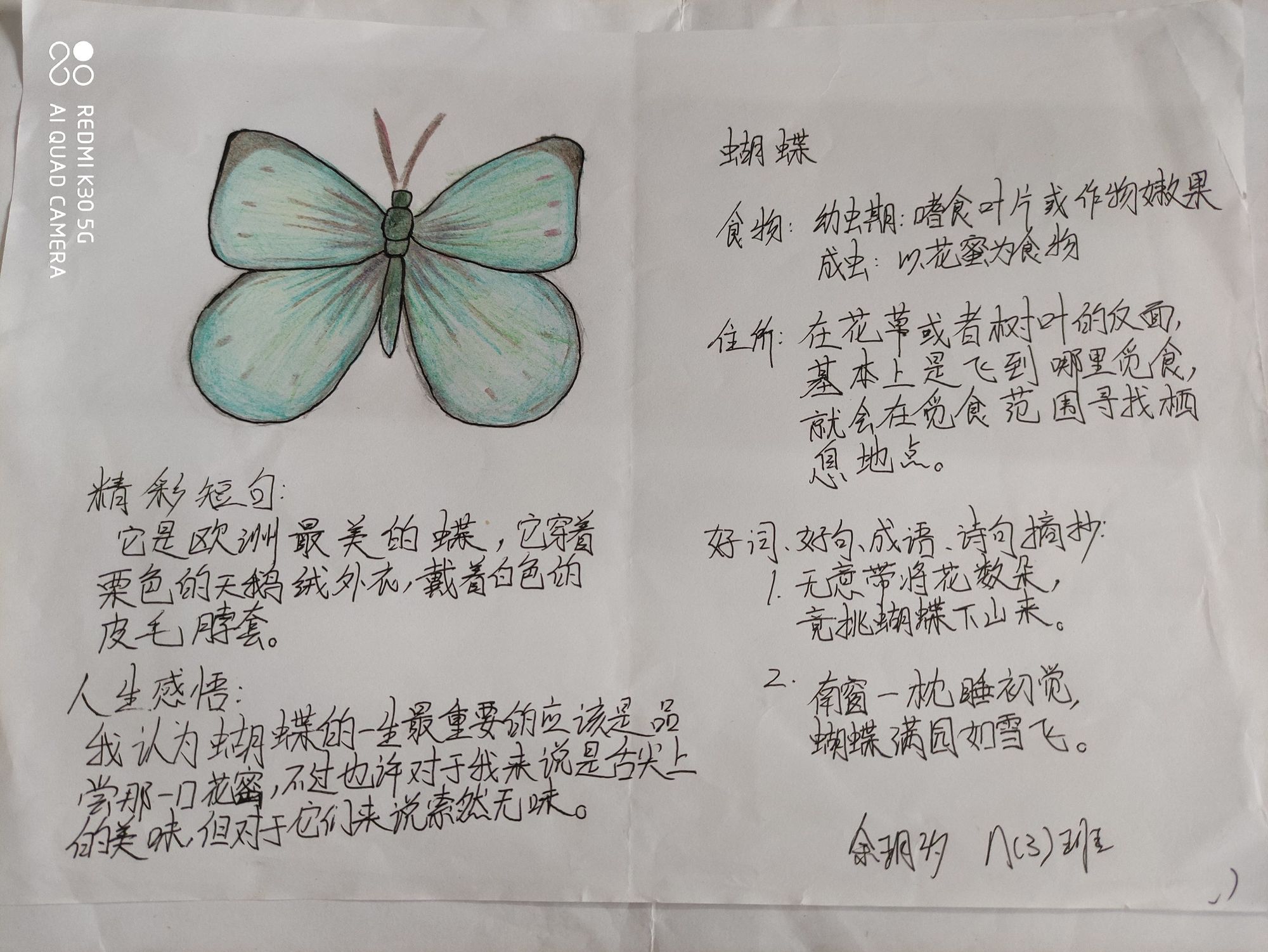苹果手机里有关昆虫的游戏_ipad昆虫游戏_苹果手机游戏昆虫
