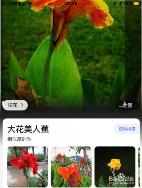 植物识别神器app下载_植物识别器下载安装_自动识别植物软件
