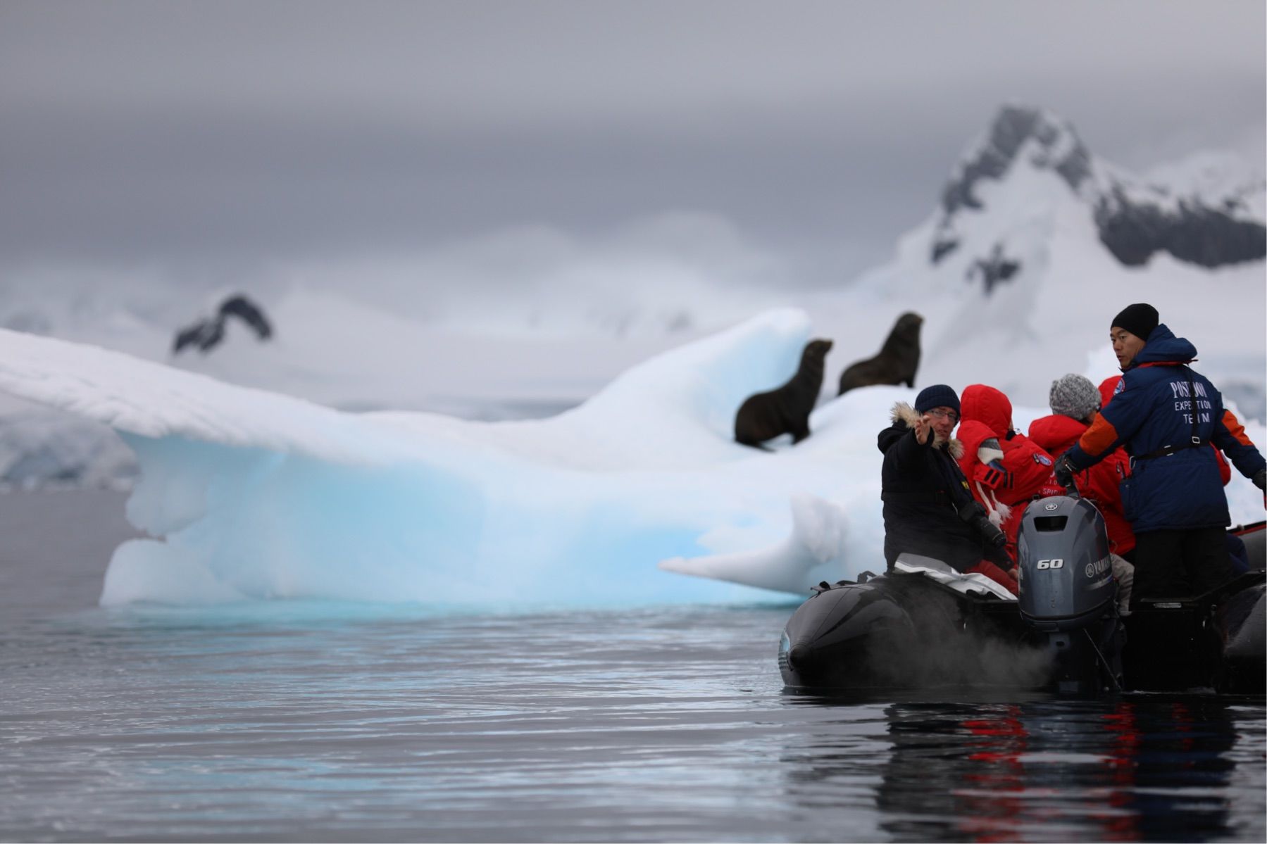 冈格尼尔：南极探险史上的三个惊人发现