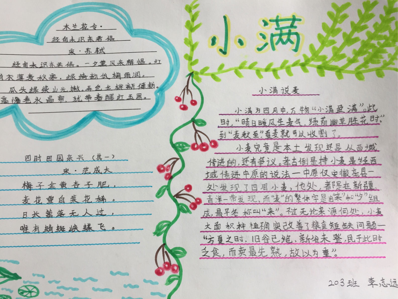 小满养生_小满生活_关于小满