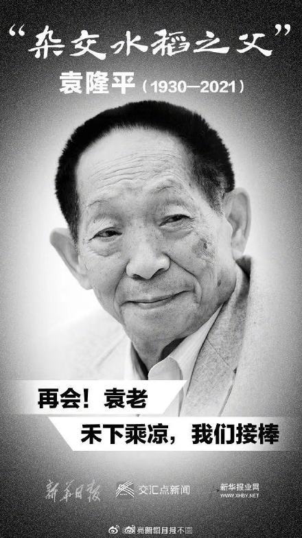 电影袁隆平观后感1500字_电影袁隆平观后感300字_袁隆平电影
