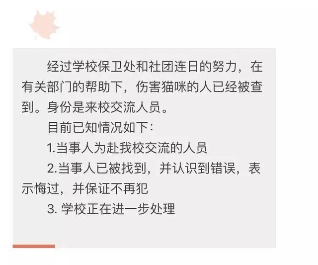 上课玩手机被老师抓住怎么办_上课玩手机老师知道吗_上课打游戏被老师抓住手机