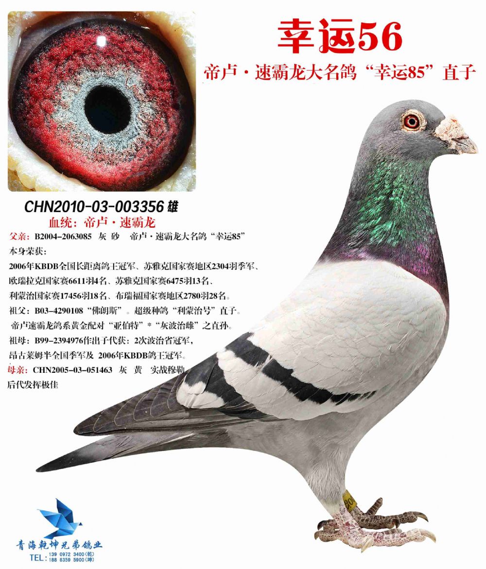衣服0号1号2号3号4号_几号_号组词