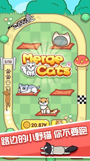 手机版游戏猫_猫游戏软件_猫手机游戏