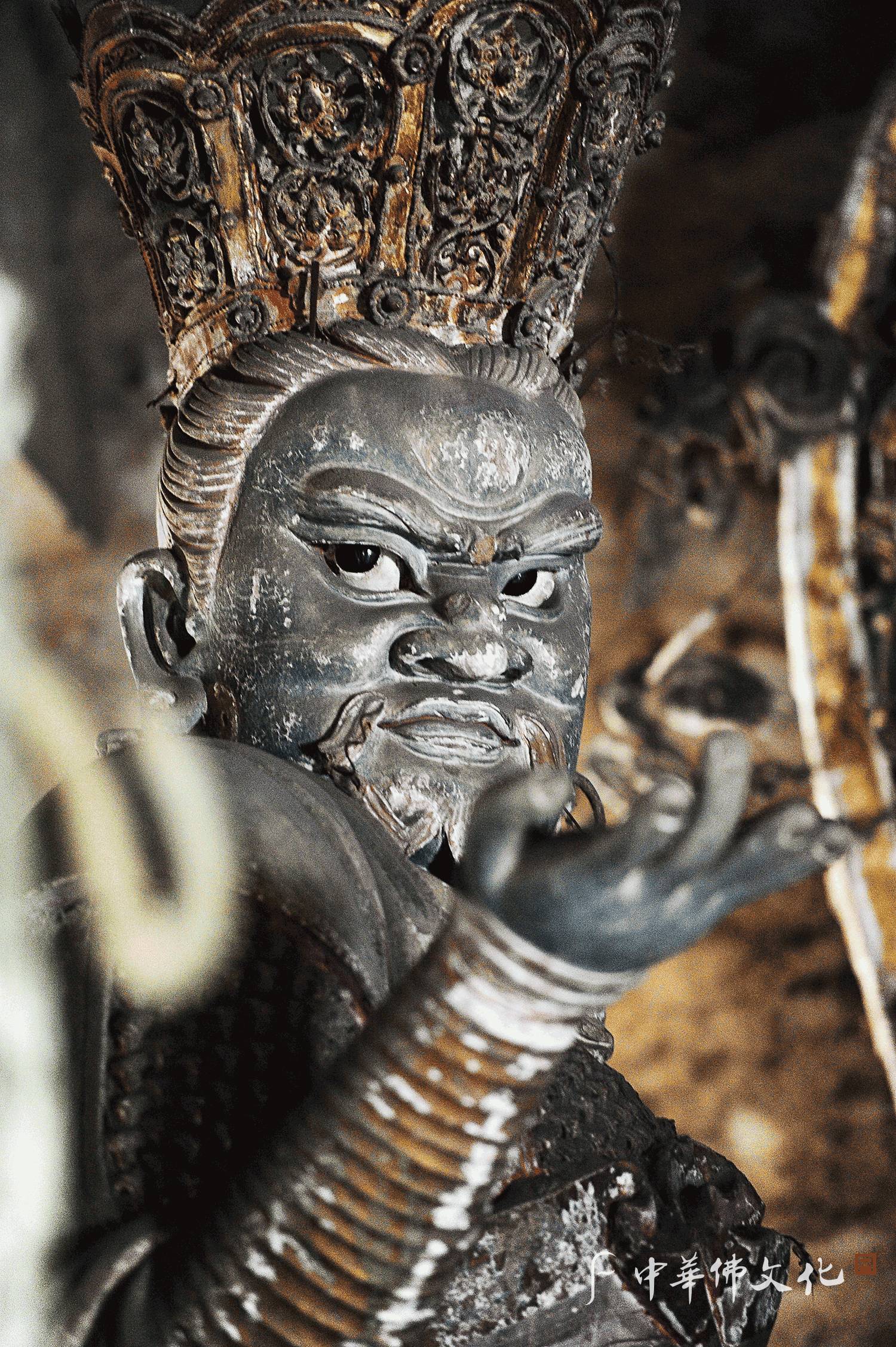 第二季天王寺瑚太郎头像_天王寺瑚太郎_天王寺瑚太郎名言