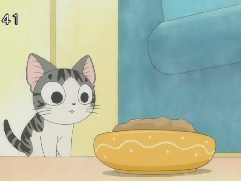 甜甜私房猫是什么品种_甜甜私房猫是什么意思_甜甜私房猫第一季