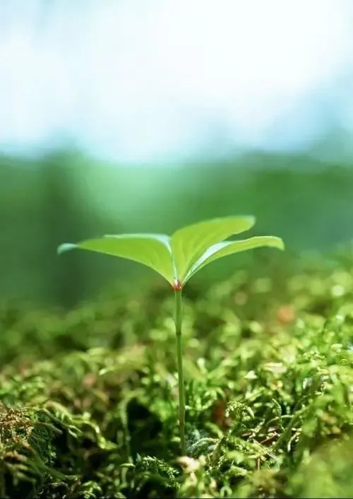 手机发热打游戏会卡吗_发热正常打手机游戏会怎么样_手机不打游戏发热正常吗
