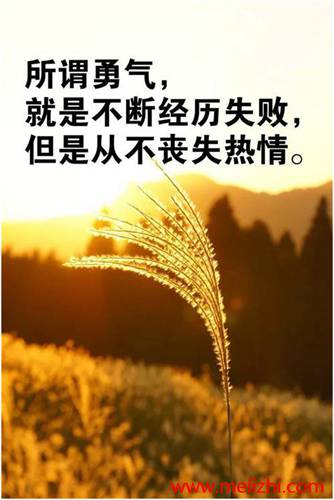 grammarly手机版_彩视官方免费下载最新版手机_奥特格斗进化3下载中文版手机