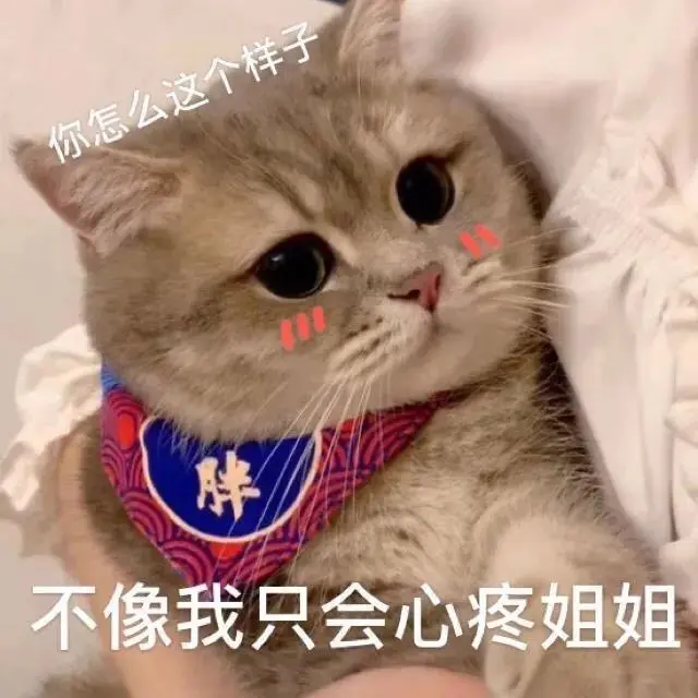 滴滴出行客服电话人工青桔_滴滴青桔客服24小时人工电话_滴滴出行青桔客服
