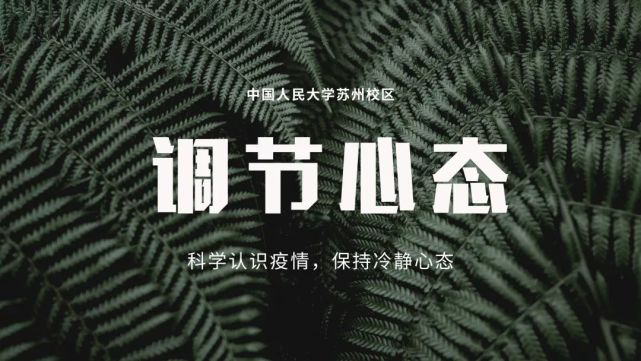 救援猫_救援车辆_火速救援