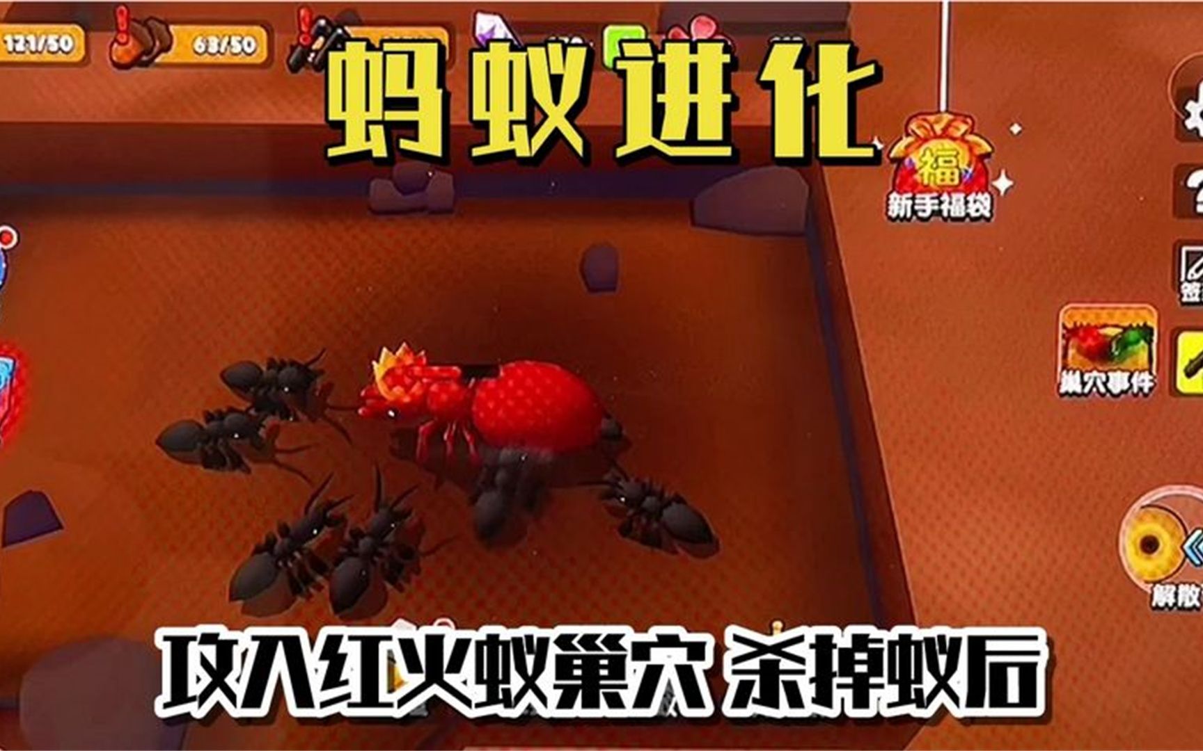 有一款游戏蚂蚁对抗的游戏_蚂蚁对战视频_手机蚂蚁对战游戏