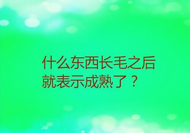 元首空耳-年轻音乐梦想家：坚持与创新的逆袭之路