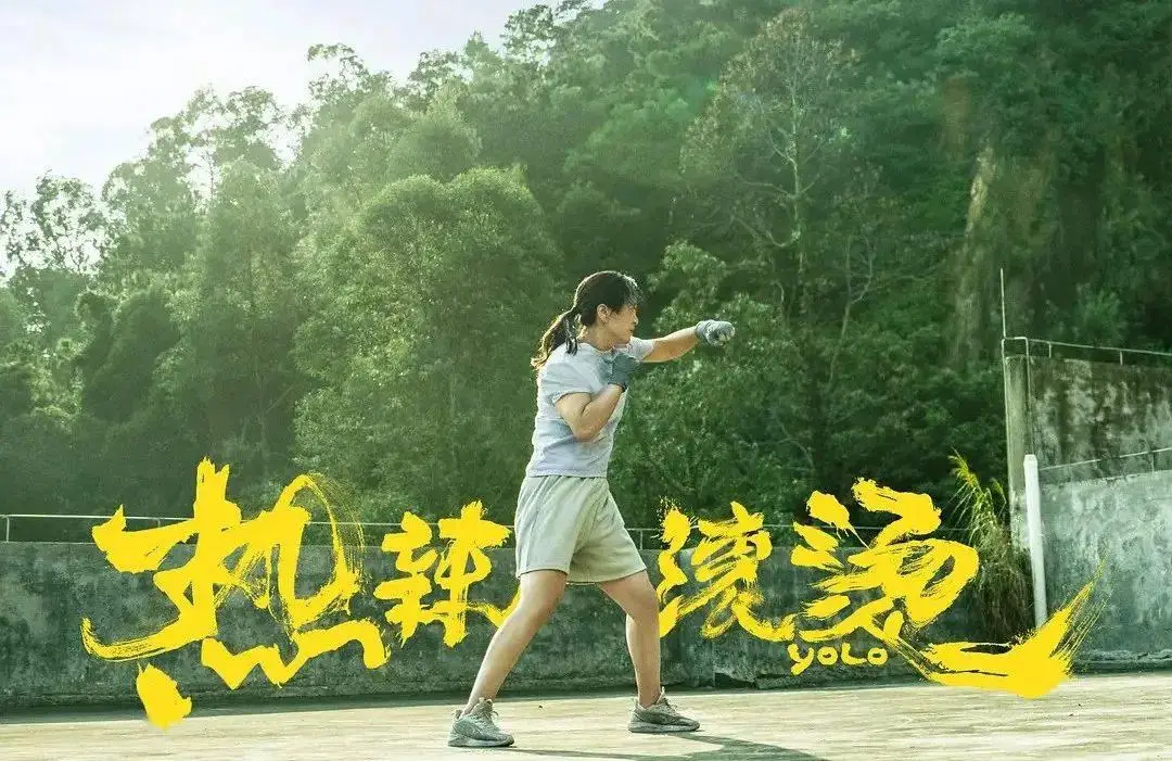 起源型月_i型起源_起源型核心区名词解释