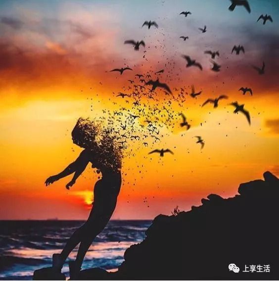 绝望游戏手游_绝望游戏人物篇_让人绝望的手机游戏